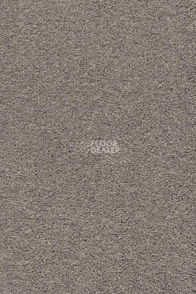 Ковролин AW Vivendi Punch 39 фото 1 | FLOORDEALER